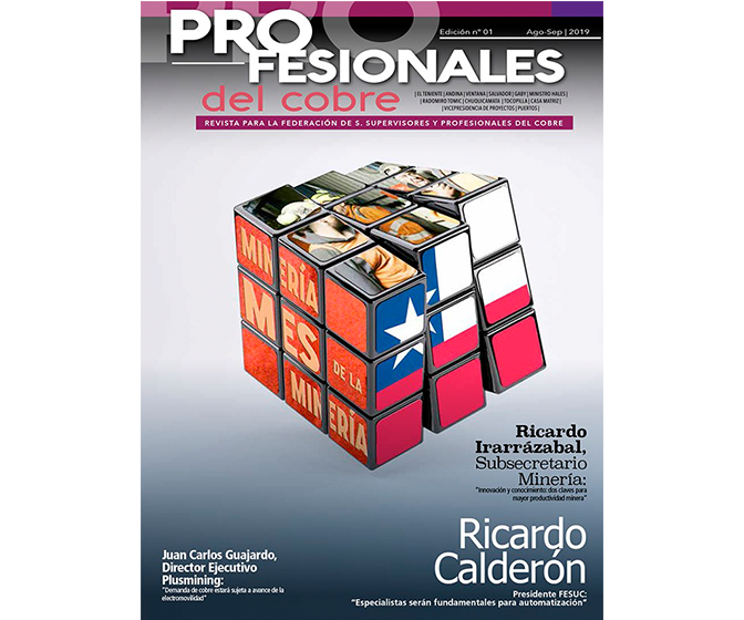  Revista Profesionales del Cobre Ed. N°1