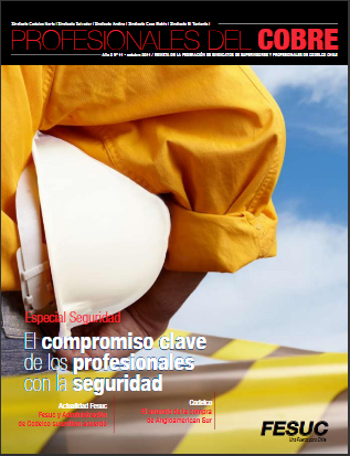  Revista PROFESIONALES DEL COBRE Edición N° 11