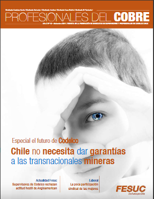  Revista PROFESIONALES DEL COBRE Edición N° 12
