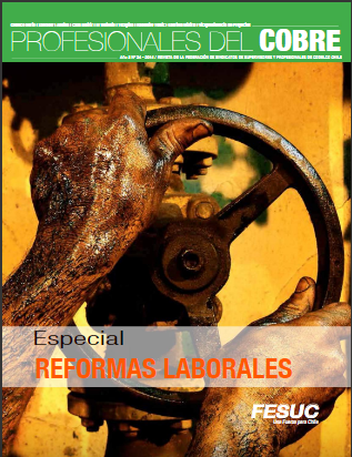  Revista PROFESIONALES DEL COBRE Edición N° 24