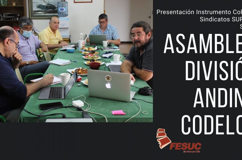  Presentación de Instrumentos Colectivos de División Andina